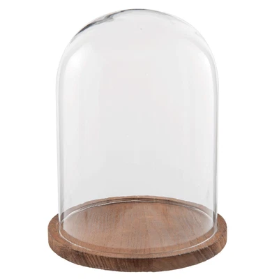 £29.99 • Buy Glass Display Cloche Bell Jar Dome Flower Preservation Cover Wooden Base 29 Cm 