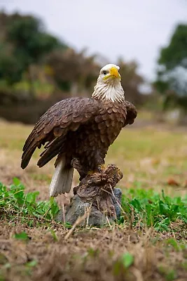 Motion Activated Singing Eagle Garden Statue Garden Decoration Home Decoration • $43.19