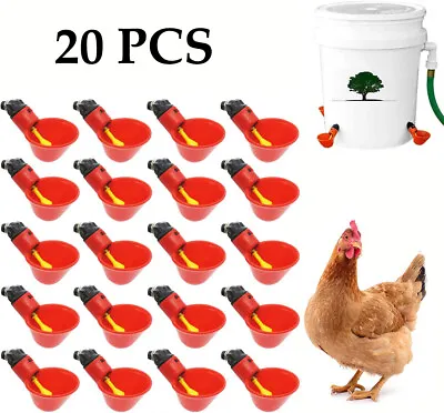 20Pcs Chicken Poultry Water Cups Automatic Waterer For DIY Poultry Quail Duck • $10.99