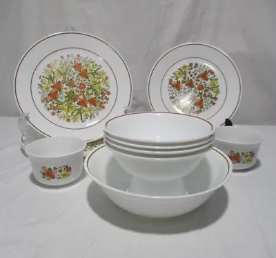 Vintage Corelle Indian Summer Dishes Plates Bowls 15 PIECE SET • $59.99