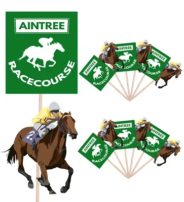 Aintree Themed Horse Racing Cupcake Food Cake Decorations Picks Toppers 14 Pack • £5.99