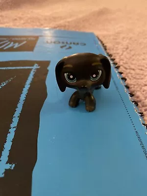 Littlest Pet Shop - LPS - DACHSHUND - Black W/ Blue Eyes - Hasbro - VERY GOOD • $1.25