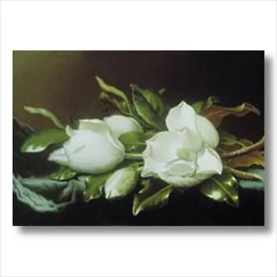 White Magnolia Flower Floral Wall Picture Art Print • $10.90