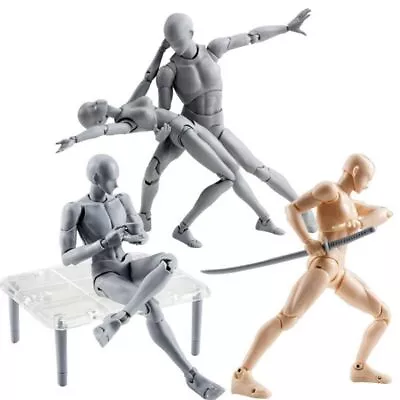 Male Female Anime Figure Movable Body Chan Joint Action Figure Toy  Sketch Draw • $28.12