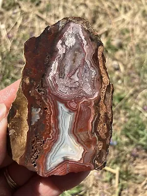 Crazy Lace Agate Slab (Mexico) • $12