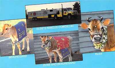 Elsie Borden Cow Beauregard Cowdillac Dairy Farm Multiview Advertising Postcard  • $5.99