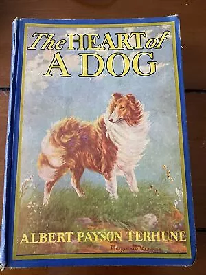 The Heart Of A Dog By Albert Payson Terhune  Illust. By M. Kirmse  1924 HC GOOD • $23