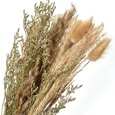 15Pcs Natural Dried Pampas Grass Reed Flower Bunch Home Floral Bouquet Decor UK • £5.59