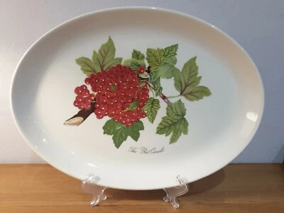 £13 • Buy Portmeirion Pomona Large Oval Plate/server.