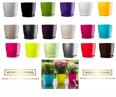 Plant Flower Pot  Plastic  Gloss Pots Planter 18 Colours Saucer Tray Deco • £8.99