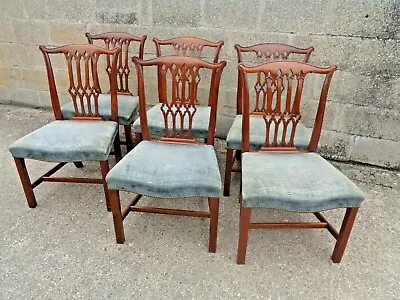 Mahogany Chippendale Style Dining Chairs Set Of Six  • £300