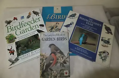 Bird Enthusiast 4 Book Bundle Bird Feeder Garden Bird Watcher Guides Ladybird • £6