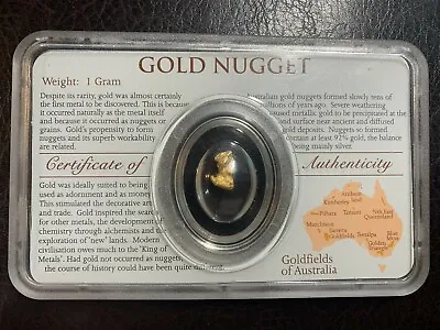 $249 • Buy Large Beautiful Australian Gold Nugget / Certificate Of Authenticity Perth Mint
