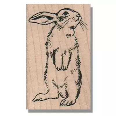 RABBIT LOOKING Rubber Stamp Easter Bunny Rabbit Animal Wildlife Hare Pet • $15.25