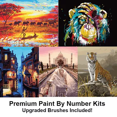 Paint By Numbers Kit Framed Or Rolled Canvas Premium Brushes & Acrylic Paint • $16.95