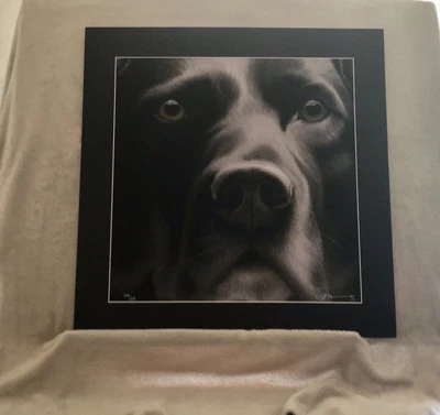 £55 • Buy Limited Edition Labrador Print “Larger Than Life Labrador”