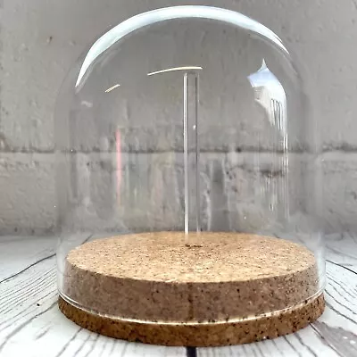 £20 • Buy 1 X Glass Dome Cloche Display Bell Jar Cork Base With Perspex Mount 12cm X 12cm