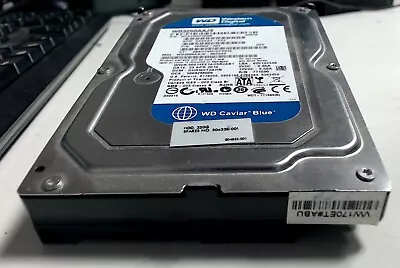 Western Digital WD Caviar Blue WD3200AAJS 320GB 3.5  Desktop Hard Drive SATA III • £9.99