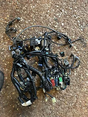 Honda 225 Hp Outboard Wiring Harness  Complete • $400