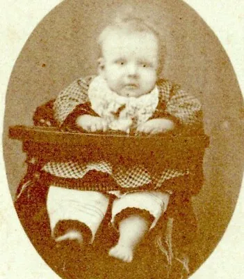 Montevideo Minnesota CDV Photo Baby Ole Anderson Carte De Visite C.1886 • $13.49