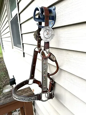 $450 • Buy Kathy’s Silver Sterling Overlay Yearling Show Horse Halter With Red Stones
