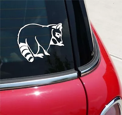Raccoon Raccoons Graphic Decal Sticker Art Car Wall Decor • $3.48