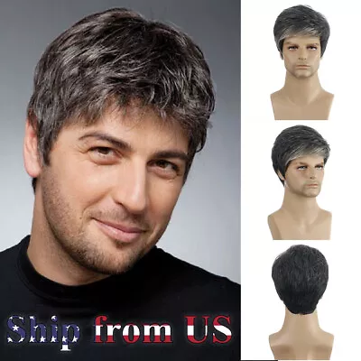 Men's Black Mixed Silver White Mid Age Short Wig Natural Straight Synthetic Hair • $16.99