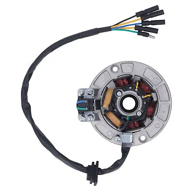 Ignition Magneto Stator Coil For YX 150cc 160cc Dirt Pit Bike • $38.83