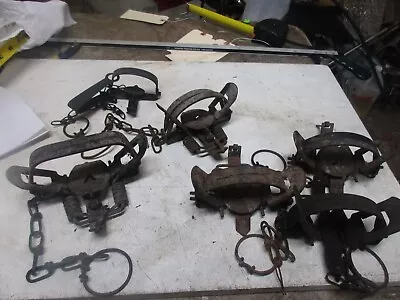 Lot Of 6 Victor   Coil Spring Traps Fur Coon Fox Marton • $24.99