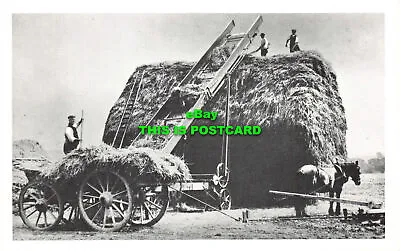 R580015 Building A Hay Rick. With Oxfordshire Waggon. Elevator And Horse Gearing • $14.40