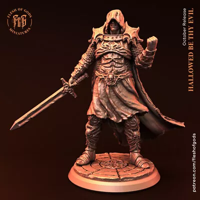 Evil Anti Paladin Knight Resin Miniature 28mm 32mm Dungeon Dragons D&D RPG • $11.99