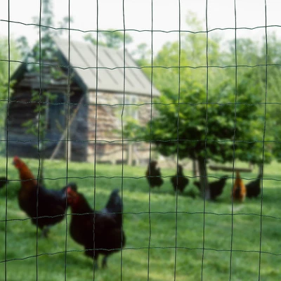 £32.99 • Buy Metal Mesh Fencing Wire Galvanised PVC Coated Metal Fence Chicken Garden Green