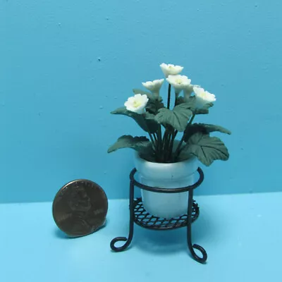 Dollhouse Miniature White Daisy Flower In Pot With Wire Stand RP30265-1 • $9.17