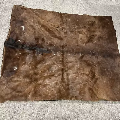 Antique Horsehide Blanket W Mane Carriage Sleigh Lap Wool Horse Hair Buggy 58x68 • $129