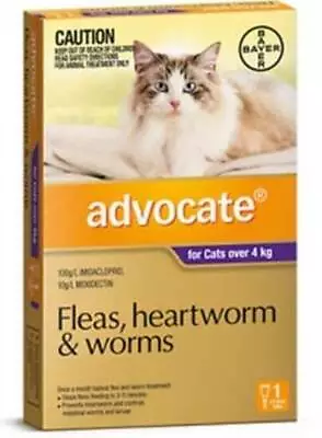 Advocate Cat SINGLE Dose Pack Purple For Cats Over 4kg • $21.15