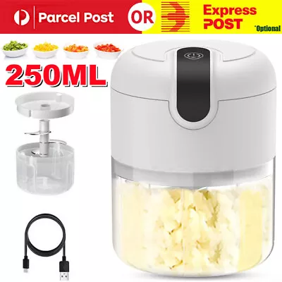 Electric Mini Garlic Chopper Masher Portable Small Food Processor Mincer Grinder • $18.99