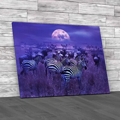 Night Lunar Landscape African Savannah Zebras Canvas Print Large Picture Wall • £14.95