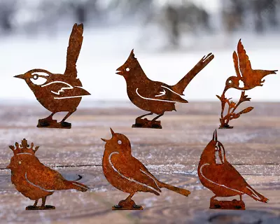 6 Rusty Metal Bird Sign Wall Hanging Art Collectible Vintage House Office Decor • $32.99