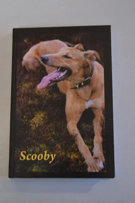 £19 • Buy Scooby By Jonathan Darcy Hardback 2008 Signed & Dated