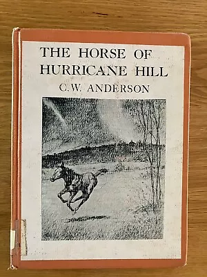 The Horse Of Hurricane Hill Written And Illustrated By C.W. Anderson • $25