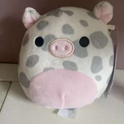 Squishmallow Rosie The Spotted Pig 5” Inches Plush Toy Kellytoy Tag • $7