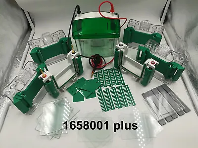 OEM Bio-Rad Mini-PROTEAN Tetra Cell 4-gel 1.0mm10-well #1658001 Plus • $1119