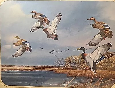 RARE David Maass Water Fowl Mallard Ducks Print • $90