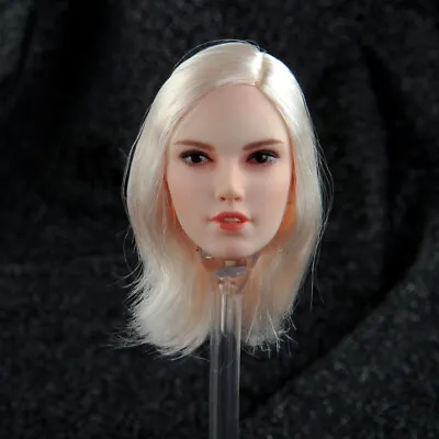 1/6 Female Head Huntress Sculpt Short White Hair Model PVC F PH Doll  Model • $22.31