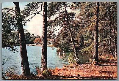 WISLEY Pond Surrey Postcard Posted 1965 J Arthur Dixon • £1.63