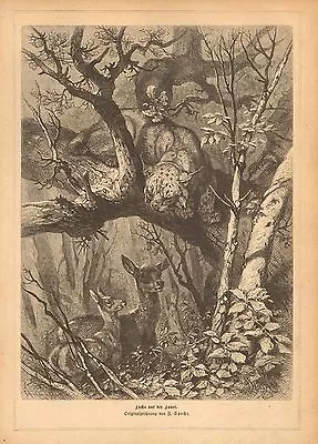 Leopard Stalking Deer Vintage 1882 German Antique Art Print • $18