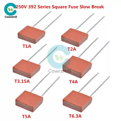 $1.31 • Buy 10/50/100PCS 392 Series Square Fuse 250V T2A T4A T1A T5A T6.3A T3.15A Slow Break