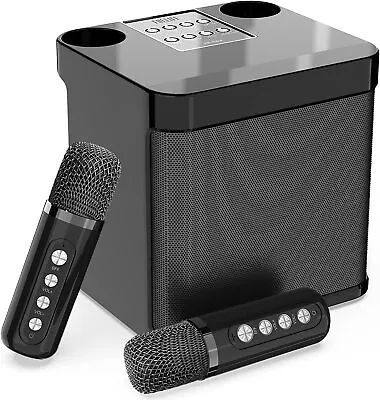 Dual Microphone Karaoke Machine Portable Bluetooth Speaker With 2 Wireless Mic • $64.83