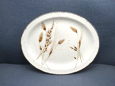 Midwinter China Wild Oats Pattern Stonehenge Small Oval Serving Platter 11 7/8  • $15.95