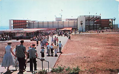 Postcard ~ Marineland Of The Pacific CA ~ Guests Walking To Oceanarium • $2.20